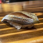 ブルペン - コハダ