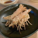 渋谷 きときと - 