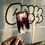 ICETACHE Frozen Yogurt Ice Candy  - 