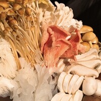 CINA New Modern Chinese - 