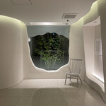 レミニセンス - 