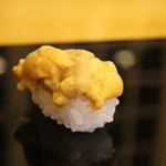 Sushi Taito - 雲丹（五和の赤雲丹）
