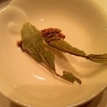 レストラン サンパウ - 