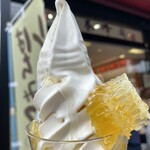 Sugi Yohoen Karuizawa Ten - 