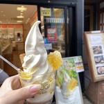 Sugi Yohoen Karuizawa Ten - 