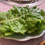 大衆肉料理 大幸 - サンチュ