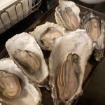 5坪 ススキノ店 - 