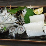 冨士屋 - 「ピカピカに光ったサヨリ、小ぶりなヤリイカ」の造り盛合せ　　　　綺麗に盛り付けている