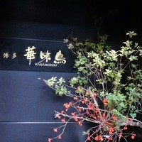 博多華味鳥 銀座4丁目店 - 2013.9