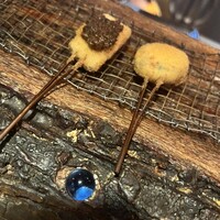 串揚げキッチン だん 石橋本店 - 