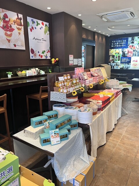 ARROW TREE - KYOTO SANJYO photo 4