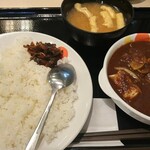 松屋 - ごろごろ煮込みチキンカレー(並盛)