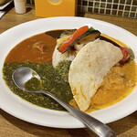 Wakakusa Kare Hompo - スペシャルあいがけカレー