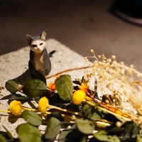 GapricE - 