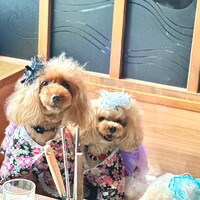 おだし 恵比寿店 - 