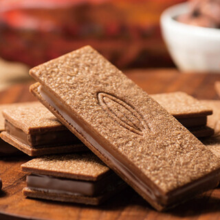 カカオティエゴカン_2