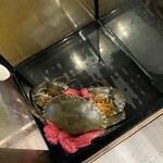 Savoey Seafood CO.  - 