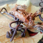 レヴォ - 鮎かけ