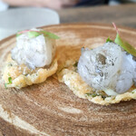 レヴォ - 白えびとチップ