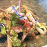 レヴォ - 月ノ輪熊