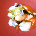 レヴォ - アオリイカ