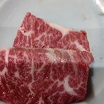 炭火焼肉ホルモンさわいし - 