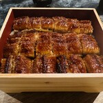 Unagi Shien - 