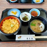 お宿 お食事処 鱗晃荘 - 生ウニ丼 3740円