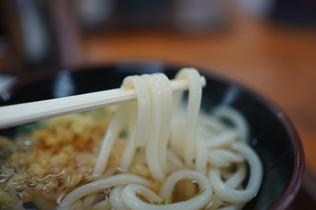 讃岐うどん 上原屋本店 (うえはらや) - 栗林公園/うどん 讃岐うどん 上原屋本店 (うえはらや) - 栗林公園/うどん