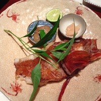 島之内 一陽 - 