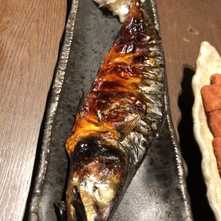 酒とひもの 人情酒場_0