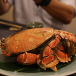 あまみの魚たち - 