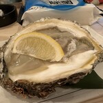 魚酒うどん マルキ - 