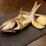 原始焼 日本酒 雨のち晴レルヤ。 - 