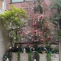 青山 エリュシオンハウス - 