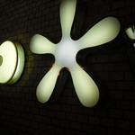 これもヒトデ？