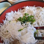 まるごと駿河湾 - ふんわりとした口当たり