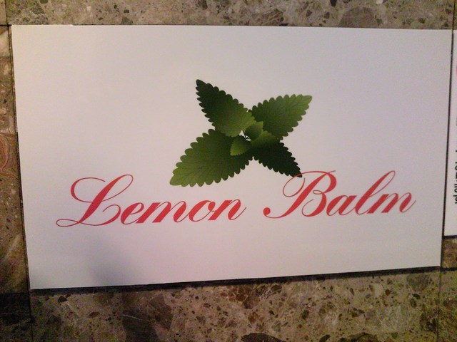 Lemon Balm photo 3