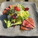 Italian Cuisine salad with roast beef