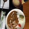 湯の元温泉 - 料理写真:カモカレー　¥900