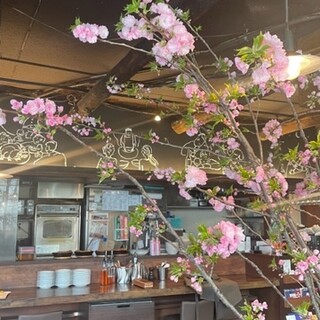 Cherry blossom viewing inside the store