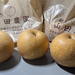 梨の山田農園 - 料理写真:幸水梨３個籠1000円