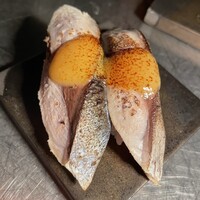 TOSA - 