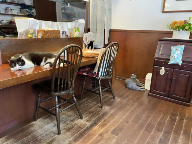 猫ノ巣（【旧店名】Espada） - 青森（カフェ）の写真