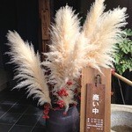 13/09/30 パンパスグラスと南天が見事です