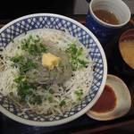 魚がし　魚膳 - しらす丼　500円