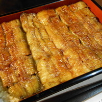 五代目 野田岩 麻布飯倉本店 - 天然鰻重（７７００円）