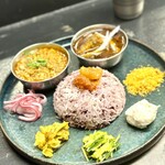 Curry Spice Gelateria KALPASI - 