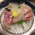 山茶花 - 