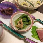 山茶花 - 